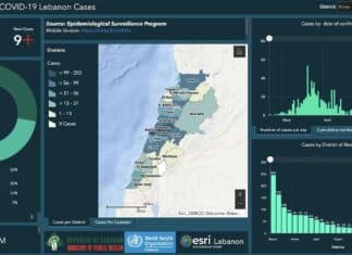 Coronavirus/Liban: 9 nouveaux cas diagnostiqués