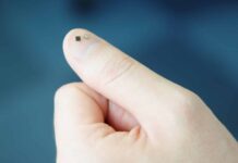 Samsung améliore la protection des données pour les appareils mobiles avec une nouvelle solution de puce de sécurité