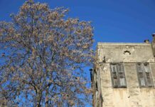 "Tripoli l’Orientale, ville plurielle" de Houda Kassatly | 23 Juin - 30 Juillet | Alice Mogabgab Gallery