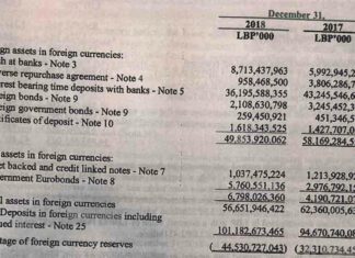 Les réserves monétaires nettes de la Banque du Liban négatives de 30 milliards de dollars en 2018