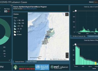 Liban/Coronavirus: 85 nouveaux cas ce lundi et près de 1 000 cas actifs
