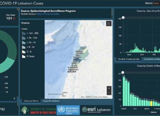 Liban/Coronavirus: 101 cas, dont 80 locaux, ce vendredi, 2700 personnes contaminées depuis le 21 février