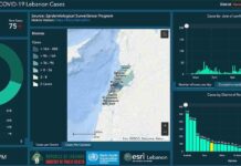 Liban/Coronavirus: 75 nouveaux cas ce 21 juillet