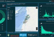 Liban/Coronavirus: 24 cas locaux et 15 cas de l'étranger, le pays des cèdres au seuil des 2000 cas