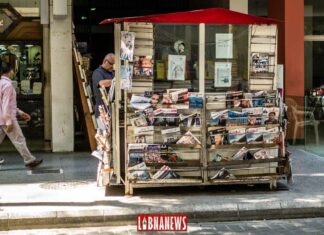 Liberté d'Expression, Liberté d'Opinion et Diffamation: Une Quête d'Équilibre