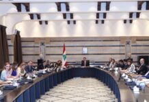 Hassan Diab: certains partis locaux et étranger veulent impliquer le Liban dans des conflits régionaux.