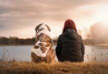Liban/Coronavirus: Des chiens pour détecter le virus? Liban/Coronavirus: Des chiens pour détecter le virus?