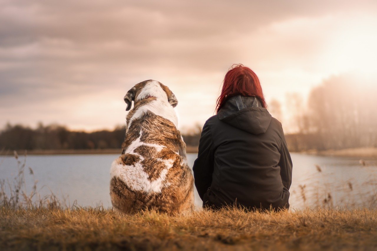 Liban/Coronavirus: Des chiens pour détecter le virus? Liban/Coronavirus: Des chiens pour détecter le virus?