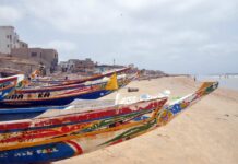 À propos de la campagne anti libanais en cours : sens et enjeux par Scandre HACHEM