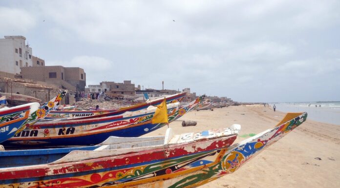 À propos de la campagne anti libanais en cours : sens et enjeux par Scandre HACHEM