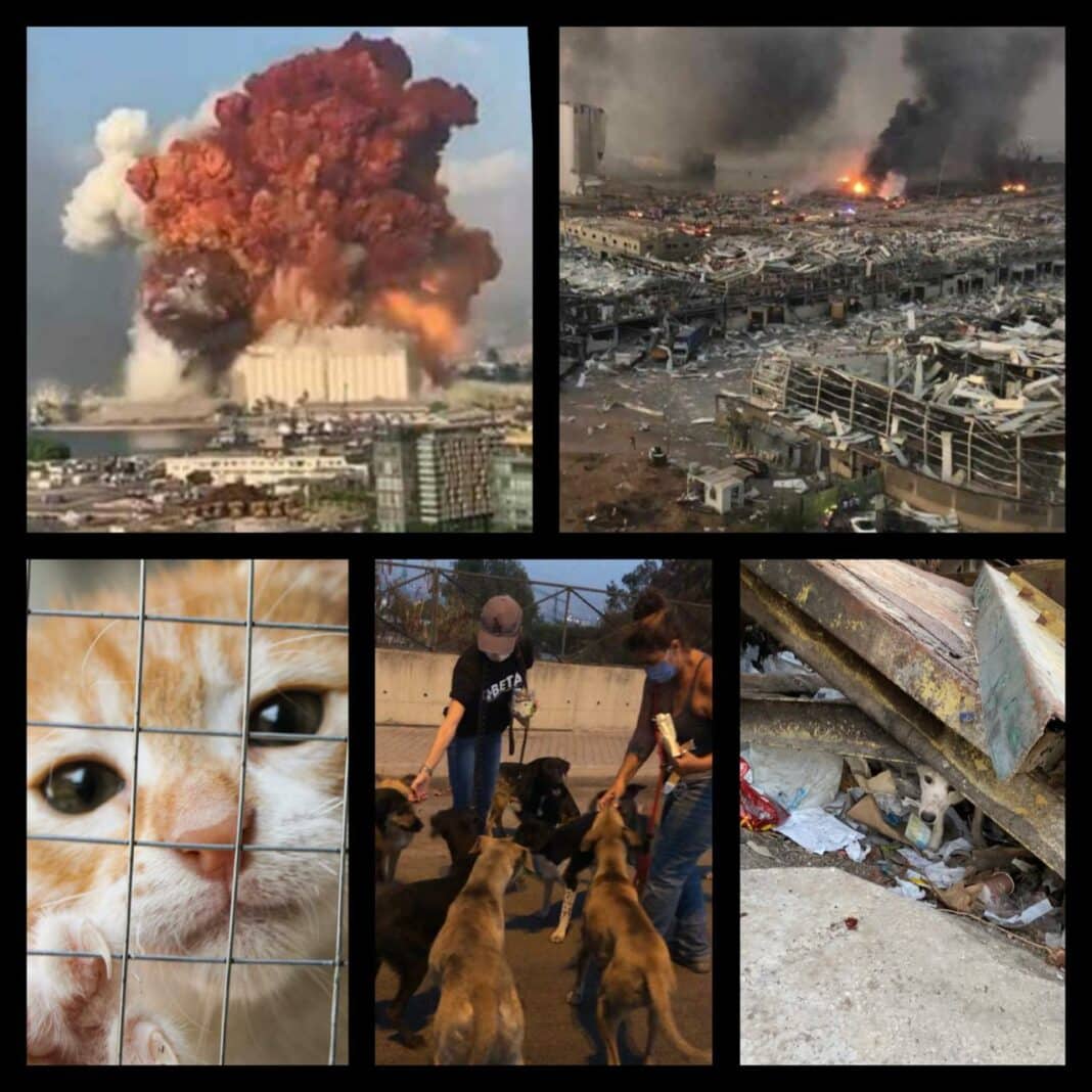 The aftermath of Beirut's deadly explosion