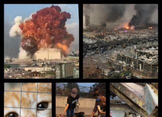 The aftermath of Beirut’s deadly explosion