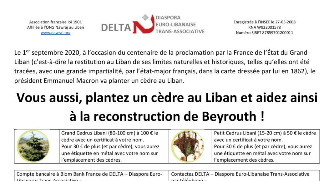 Planter un cèdre au Liban et aidez à la reconstruction de Beyrouth