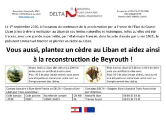 Plantez un cèdre au Liban et aidez ainsi à la reconstruction de Beyrouth Planter un cèdre au Liban et aidez à la reconstruction de Beyrouth