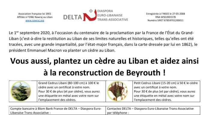 Planter un cèdre au Liban et aidez à la reconstruction de Beyrouth