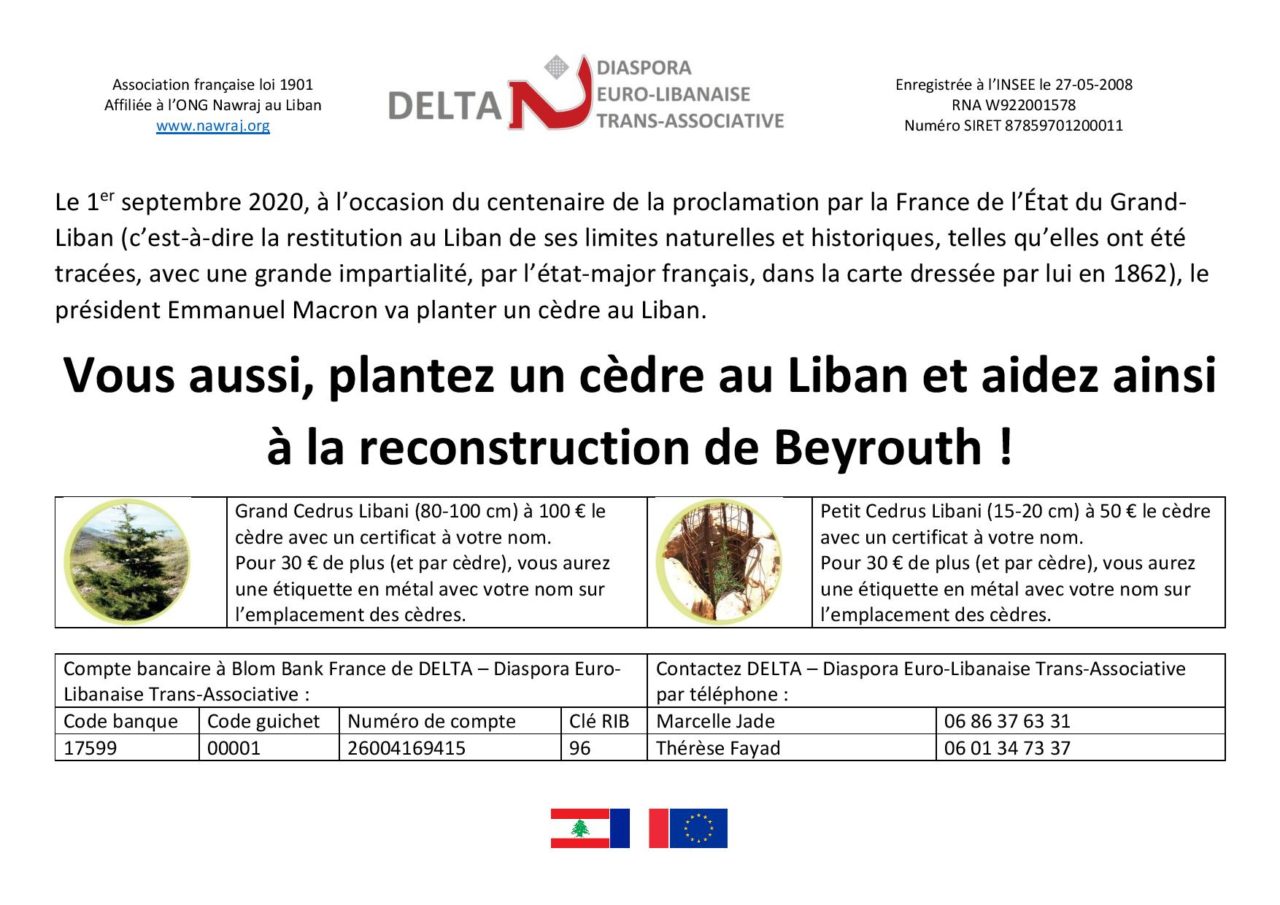 Plantez un cèdre au Liban et aidez ainsi à la reconstruction de Beyrouth Planter un cèdre au Liban et aidez à la reconstruction de Beyrouth