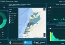 Liban/Coronavirus: 294 cas nouveaux et de 2 décès Liban/Coronavirus: 294 cas nouveaux et de 2 décès