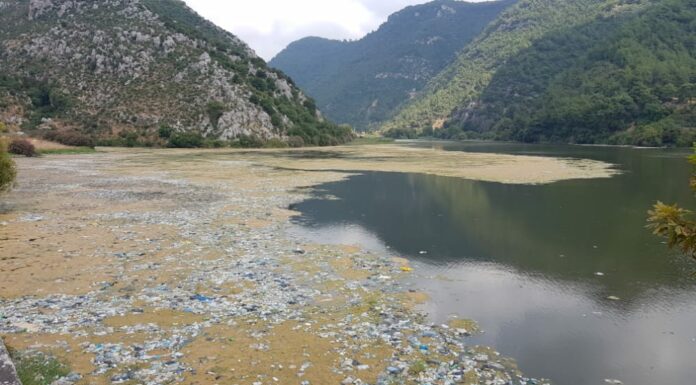 Le lac d'Ouyun al-Samak fortement pollué
