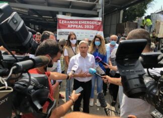 Une lettre ouverte des libanais du Canada pour aider le Liban