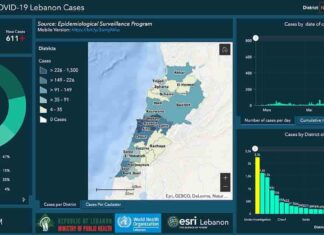 Liban/Coronavirus: 611 cas et 5 décès en 24 heures