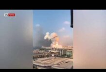 « Beirut la belle » pour revivre après l’agonie "Beirut la belle" pour revivre après l'agonie