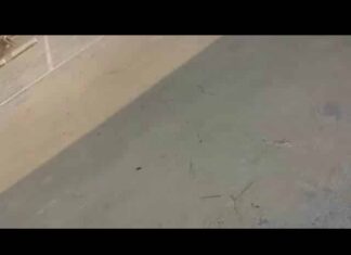 Liban: Explosion d’un entrepôt du port de Beyrouth