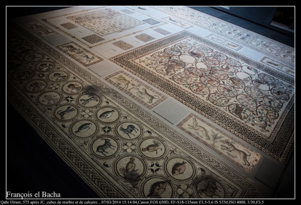 Lorsqu'Ernest Renan entreprit, à l'automne 1860, la mission d'exploration sur l'ancienne Phénicie que lui avait confiée Napoléon III, il était loin de se douter que parmi les très nombreuses découvertes effectuées au cours des fouilles menées sur différents sites de l'actuel Liban, il mettrait au jour le sol en mosaïque d'une petite église byzantine, au lieu-dit Qabr Hiram. Ce pavement daté du vie siècle, remarquable par la qualité de son exécution, présente sur plus de 100 m² un monde sensible : scènes de la vie domestique, travaux des champs, combats d'animaux. À l'initiative de Catherine Metzger, conservateur au musée du Louvre, il a fait pendant près de dix ans l'objet d'une restauration spectaculaire à des fins de présentation globale. Exemple unique dans un musée occidental, l'intégralité de cette immense mosaïque est aujourd'hui exposée dans les nouvelles salles du musée consacrées au bassin oriental de la Méditerranée, dans la configuration qu'elle présentait au moment de sa découverte. Source texte: http://editions.louvre.fr/fr/les-ouvrages/monographies/antiquites-orientales/la-mosaique-de-qabr-hiram.html Musée du Louvre. Crédit Photo: François el Bacha. Tous droits réservés. Visitez mon blog http://larabio.com