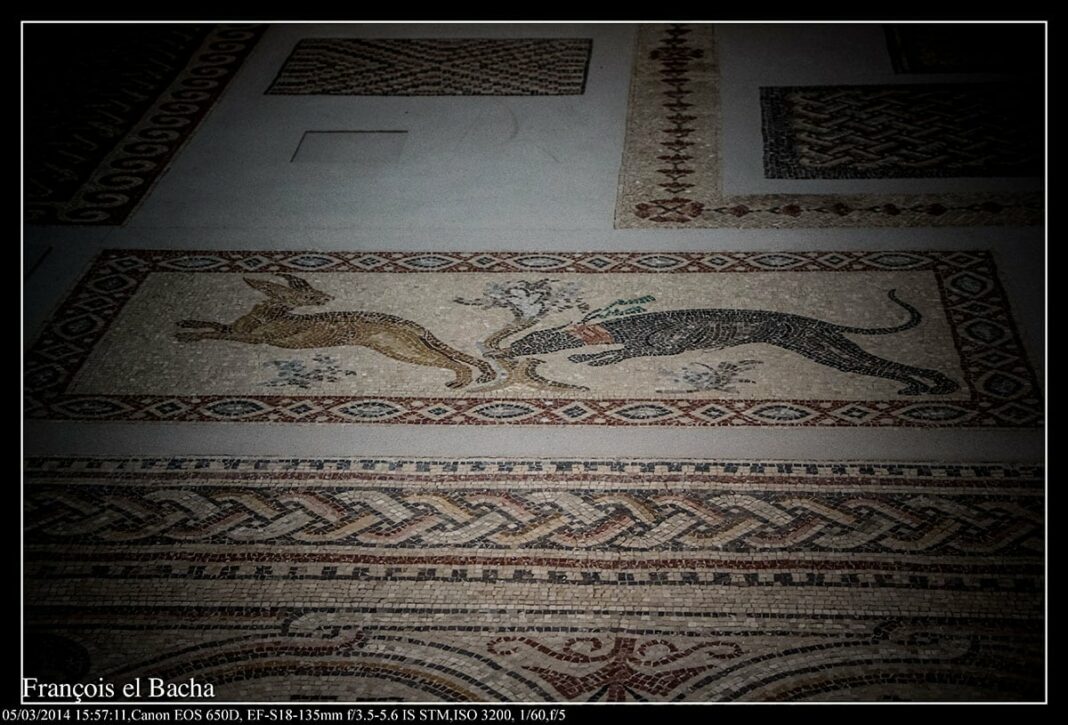The Mosaics of Qabr Hiram, one of the Louvre's treasures