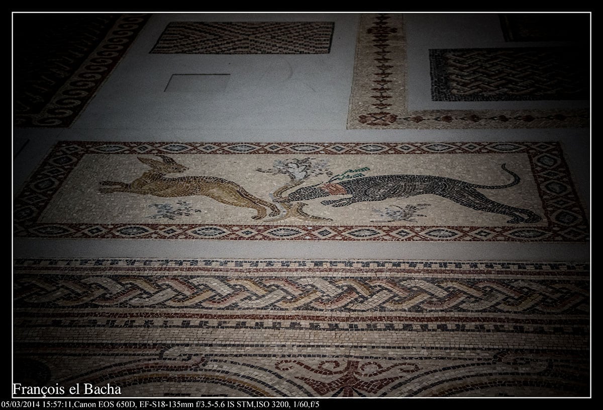 The Mosaics of Qabr Hiram, one of the Louvre's treasures