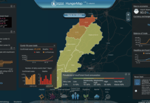Crise/Famine: Un million de Libanais en danger (ONU) Crise/Famine: Un million de Libanais en danger (ONU)