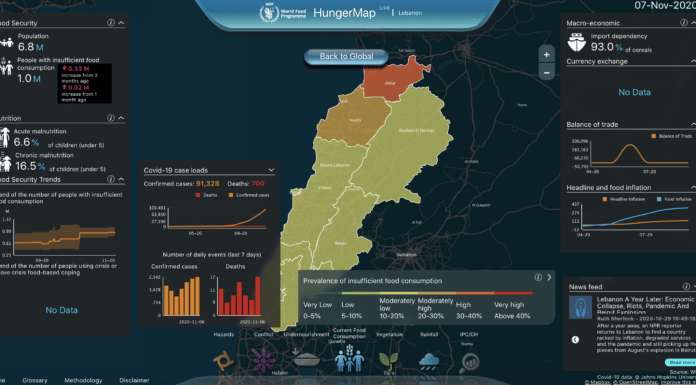 Crise/Famine: Un million de Libanais en danger (ONU)