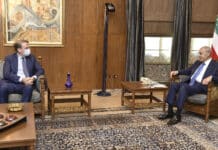 Seul un gouvernement de spécialistes pourrait sauver le Liban (Nabih Berri) Seul un gouvernement de spécialistes pourrait sauver le Liban (Nabih Berri)