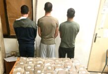 Une cargaison de cannabis interceptée à l'aéroport international de Beyrouth