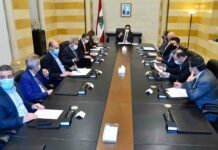 Liban/Crise: Pas de levée des subventions mais leur rationalisation (Diab)