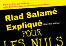 Comprendre le Riad Salamé pour les Nuls