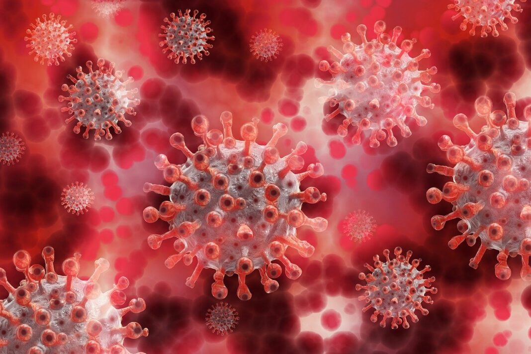 Liban/Coronavirus: Le nombre de décès en forte hausse - 73 morts ce jeudi