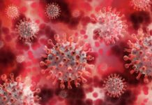 Liban/Coronavirus: Un nombre toujours important de personnes contaminées alors que les hôpitaux sont saturés Liban/Coronavirus: Le nombre de décès en forte hausse - 73 morts ce jeudi