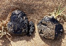 De nouvelles galettes de mazout sur les plages libanaises