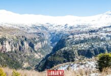 Un regard sur le Passé: Les plus anciens monastères du Liban