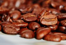 Café et changement climatique : la redécouverte d’une espèce sauvage prometteuse Café et changement climatique : la redécouverte d’une espèce sauvage prometteuse