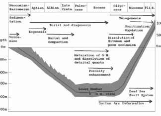 Sédimentologie et diagenèse de certaines roches néocomiennes–barrémiennes (Formation du Chouf), Sud Liban: Une introduction.