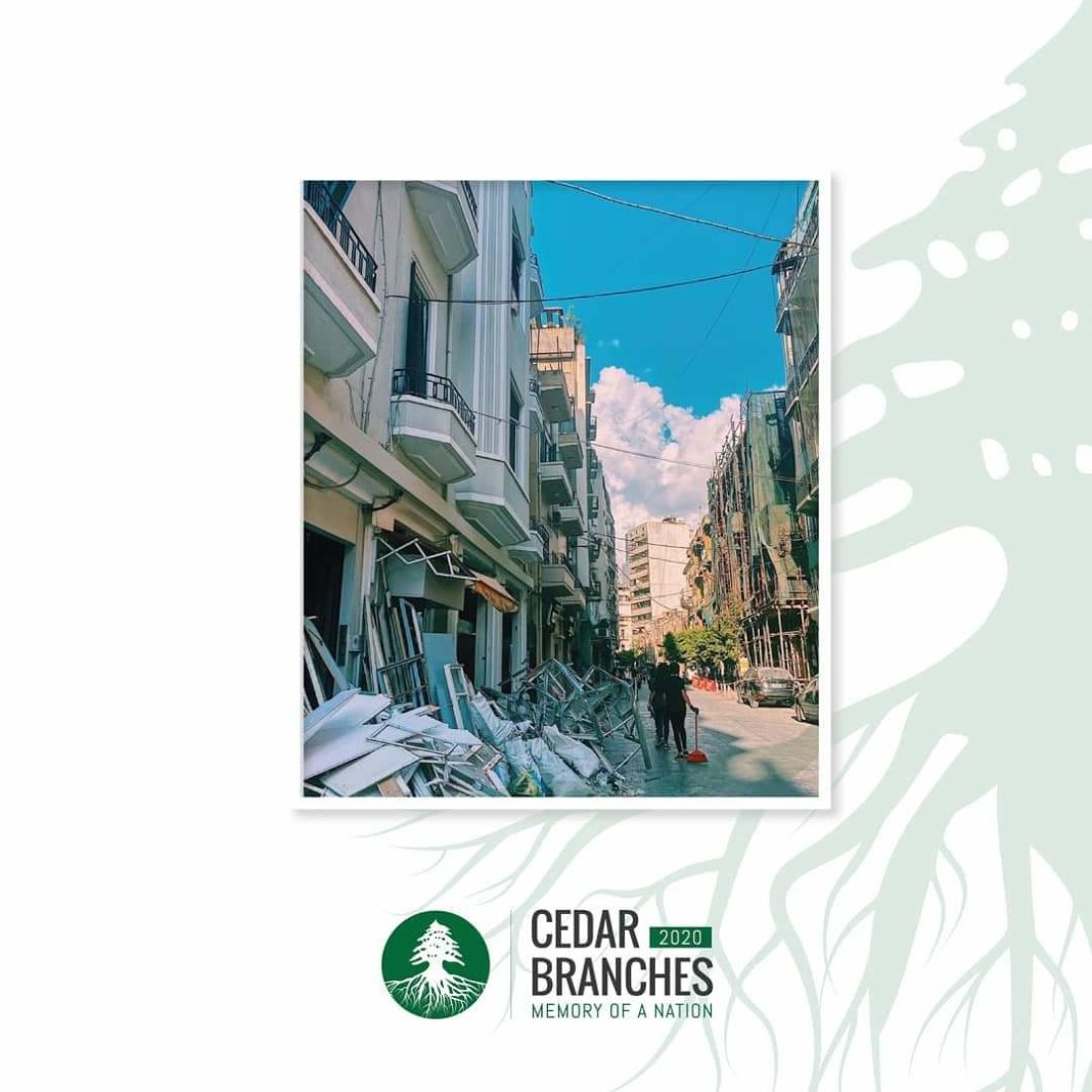 Cedar Branches 2020 avec Gisèle Abi Khalil El Hage