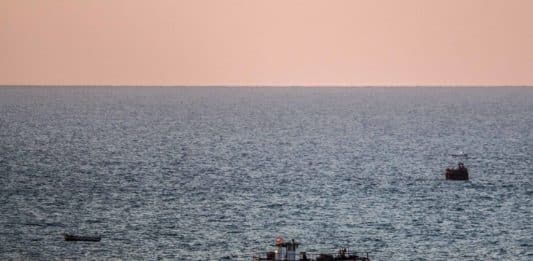 Méditerranée : protéger la biodiversité face aux défis humains