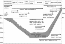 Sédimentologie, Diagenèse, Stratigraphie et Paléontologie de la séquence rocheuse du Crétacé inférieur au Liban: Une introduction.