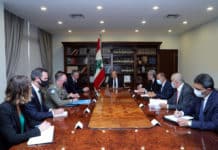 رئيس الجمهورية يدعو الى تجديد ولاية اليونيفيل