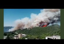 Akkar incidents caused by arsonists