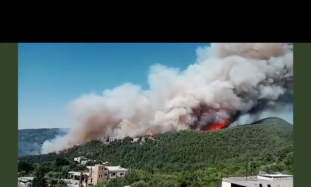 Les incendies du Akkar provoqués par des pyromanes