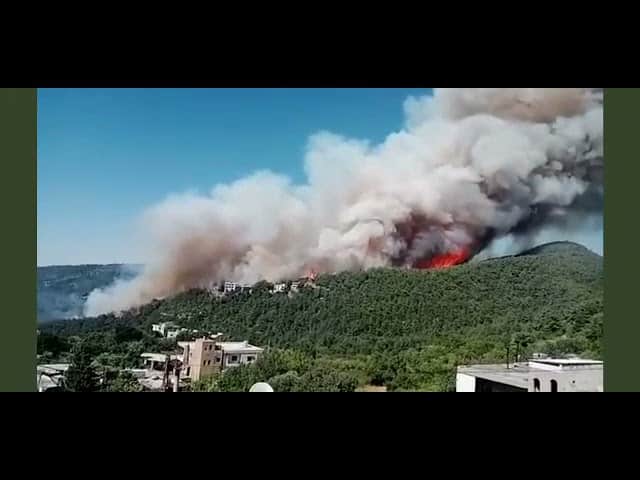 Les incendies du Akkar provoqués par des pyromanes