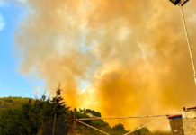 Important incendie à Deir el Qamar Droit Photo: Tracy Chamoun