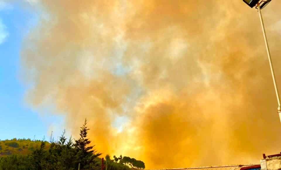 Droit Photo: Tracy Chamoun